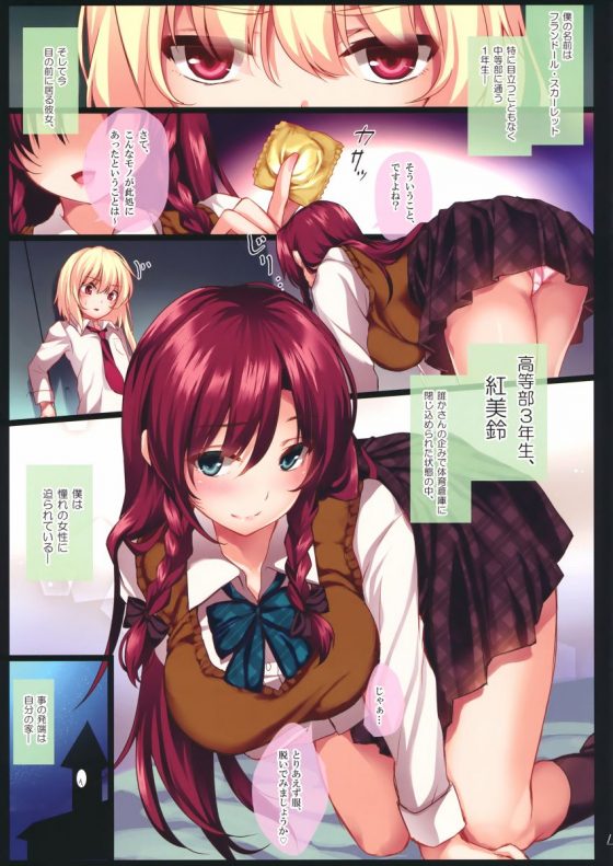 エロ同人 もう硬くなってます 身体は小さいのに持ってるモノは大きいんですねぇ 東方project フランドール スカーレット 紅美鈴 15枚